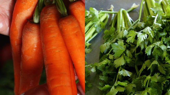 celery and carrots.jpg